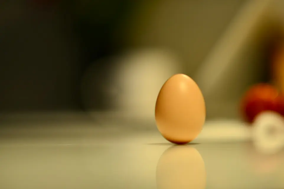 a brown egg sitting on top of a table